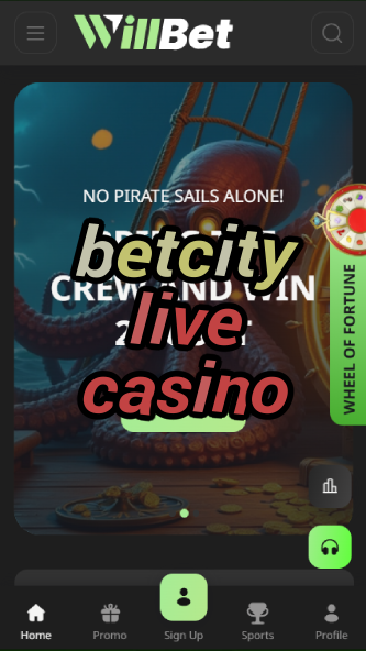 betcity live casino-asdasdzhjkds.com