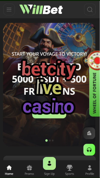 betcity live casino-asdasdzhjkds.com